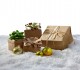 eco_holidays
