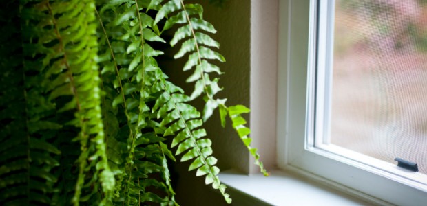 blinds-window-sun-energy-cooler
