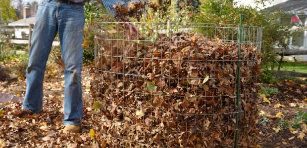 lawn-leaves-fall-winter-rake-care