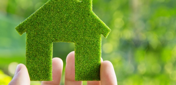 eco-friendly-green-home-tips