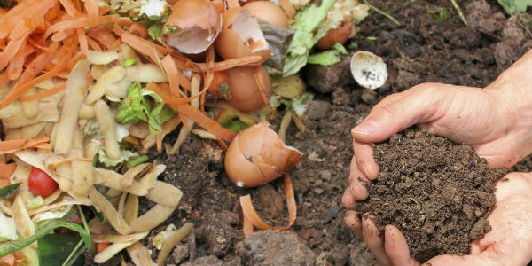 compost-pile-hands-soil-organic