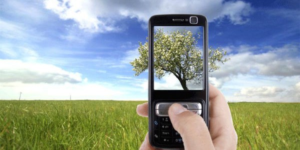 camera-phone-smartphone-tree-eco