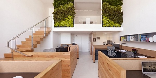 eco-friendly-office-plants-desk