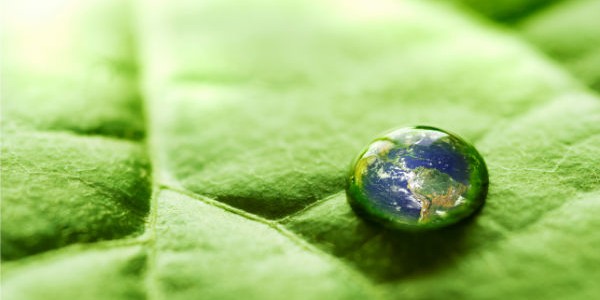 ecology-care-environment