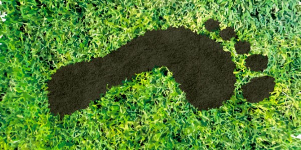 carbon-footprint-reduce-emissions